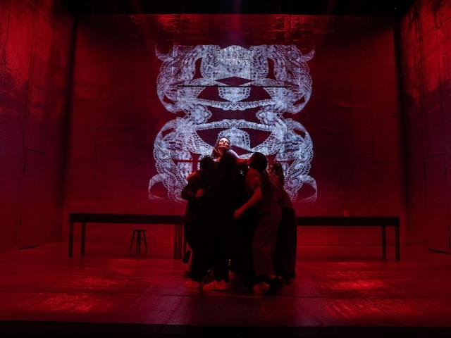 A burra, a mesa e o pau