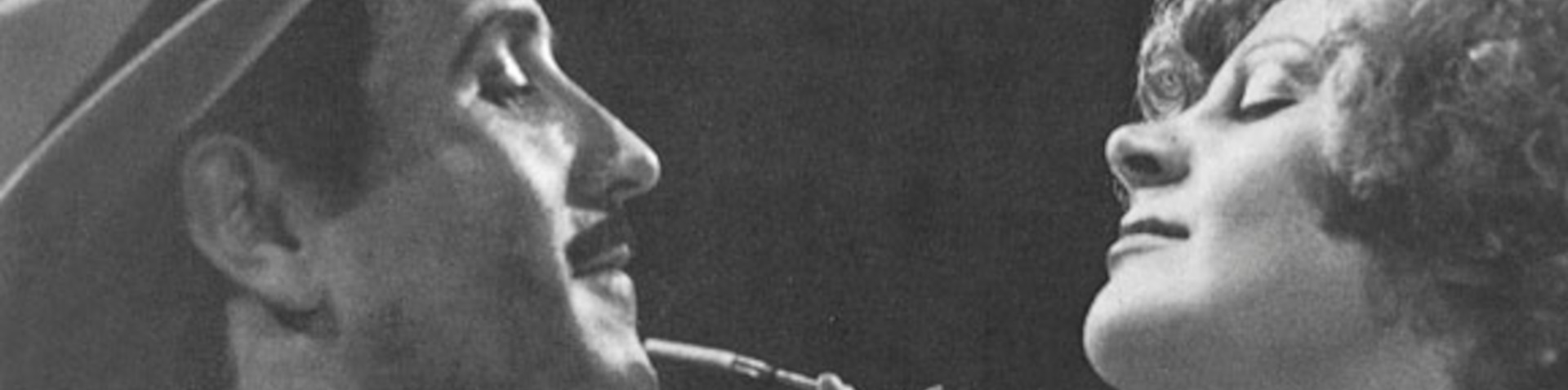 Banner La larva furiosa