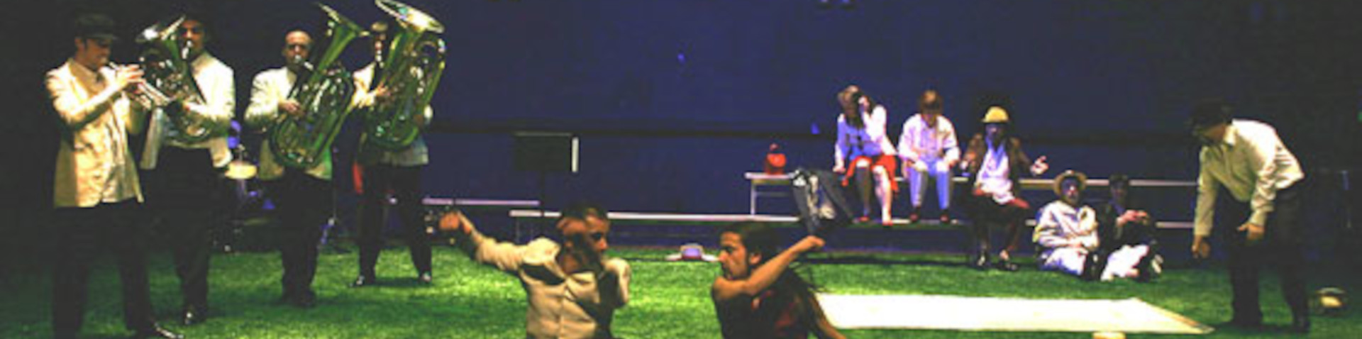 Banner Illa Reunión