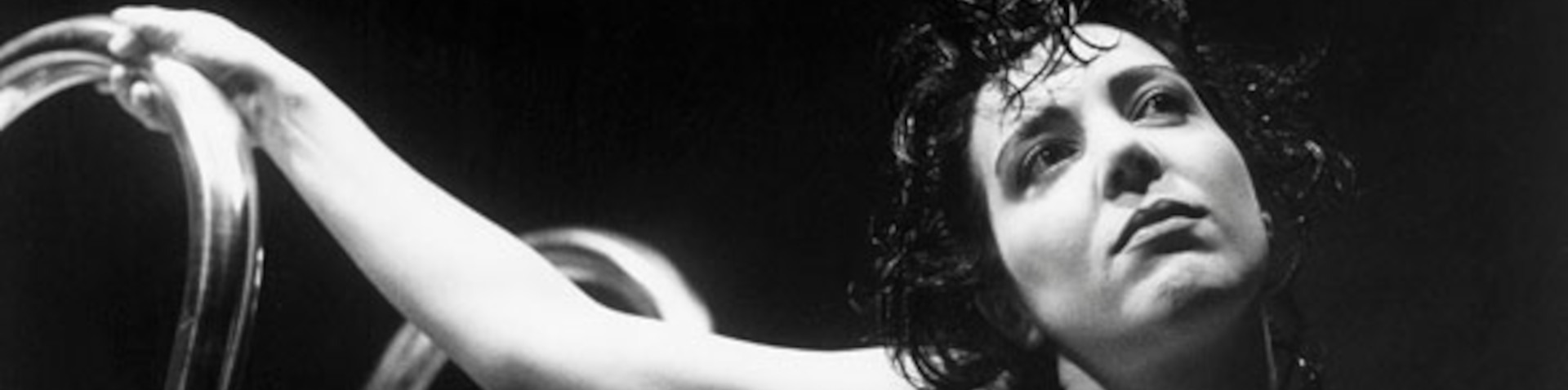 Banner O arce no xardín