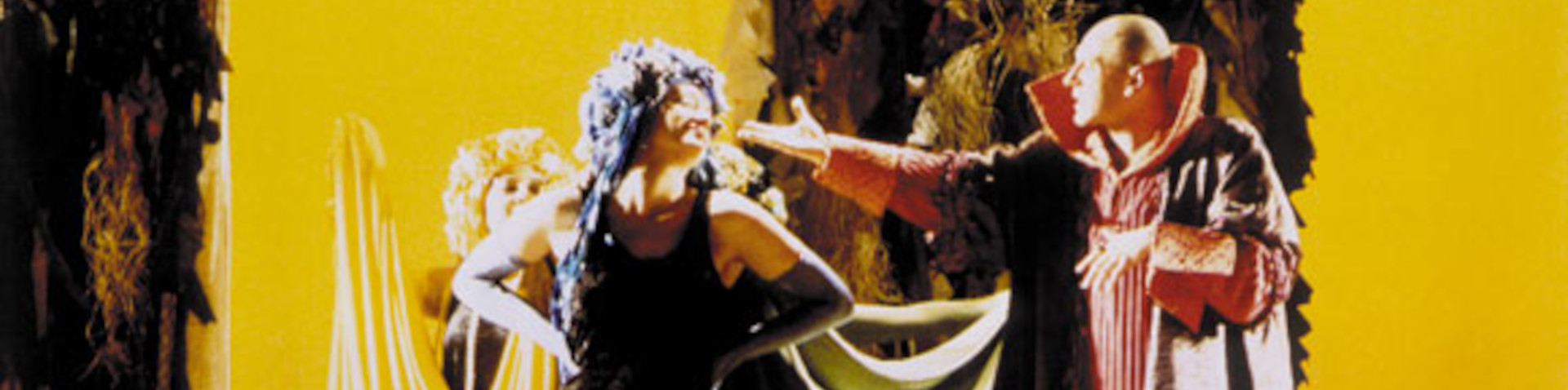 Banner O peregrino errante que cansou ó demo