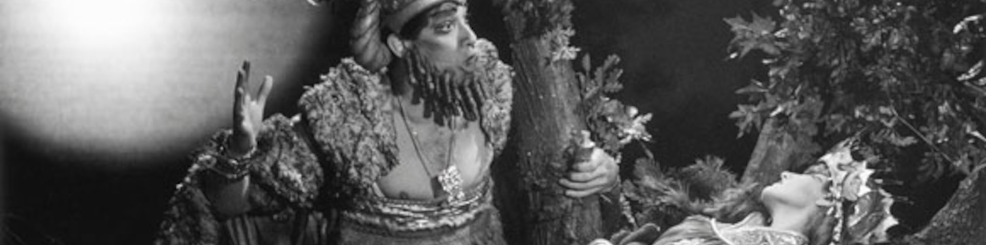 Banner Un sueño de verano