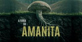 a-furia-da-amanita