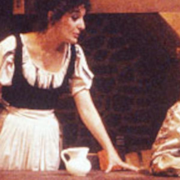 Banner A Pousadeira