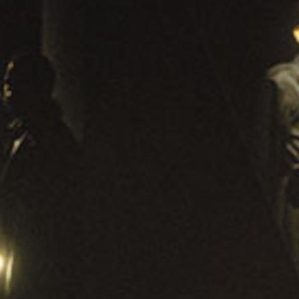 Banner O bufón de El Rei