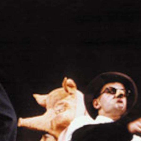 Banner Los Viejos no deben de Enamorarse