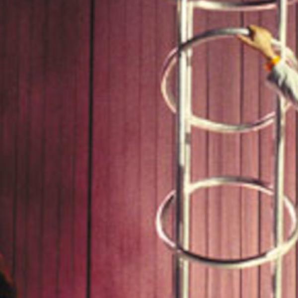 Banner Un refaixo para Celestina