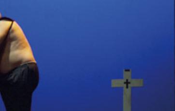 Banner El colaborador