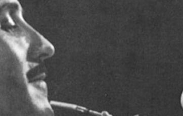 Banner La larva furiosa