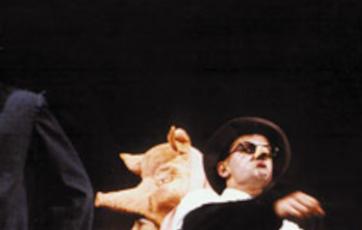 Banner Los Viejos no deben de Enamorarse